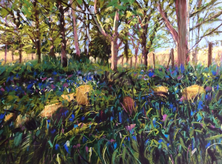 Woodland X by Dawn Limbert, Pastel on paper
