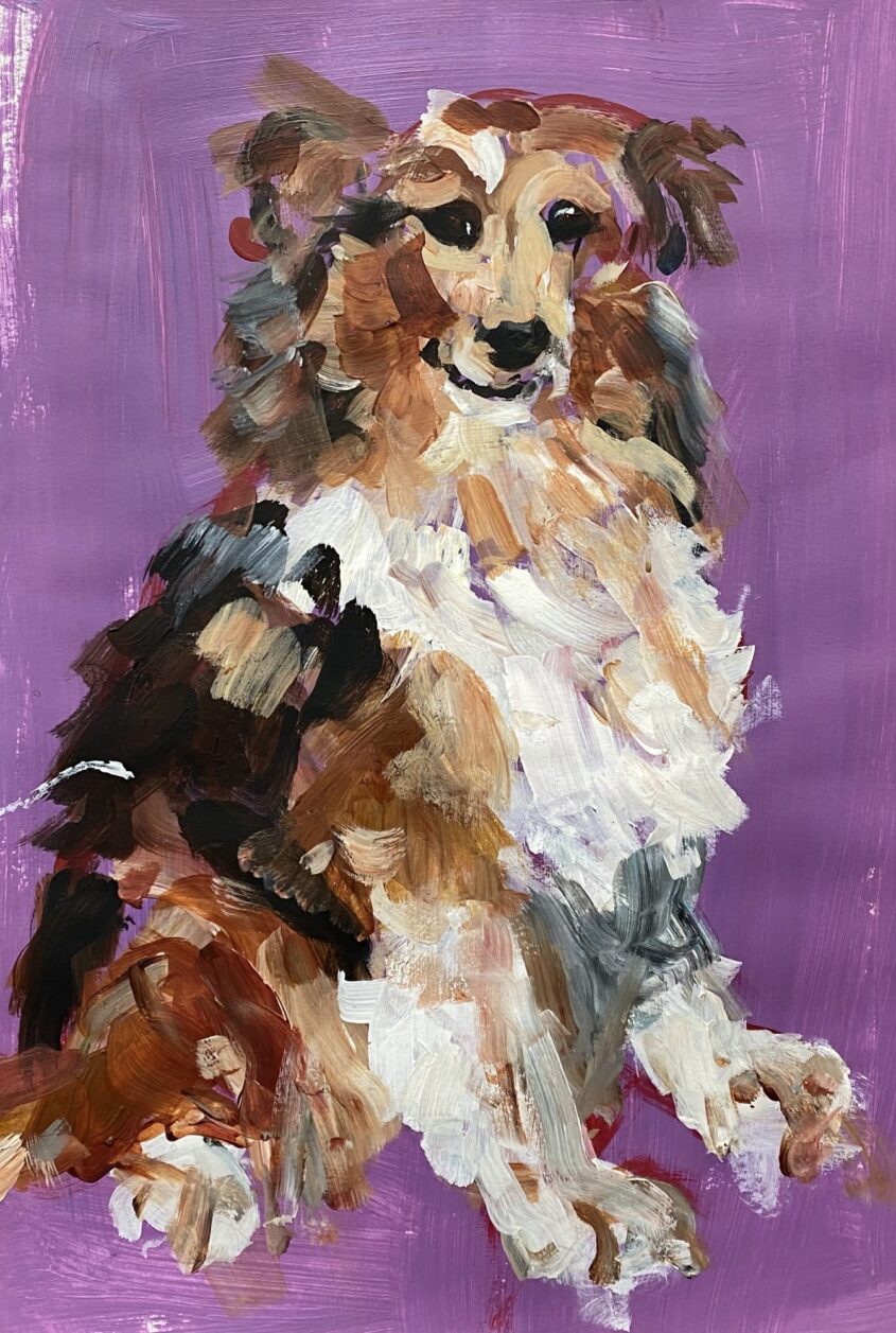 Collie Shepherd by Michelle Karpus, Acrylic on Paper