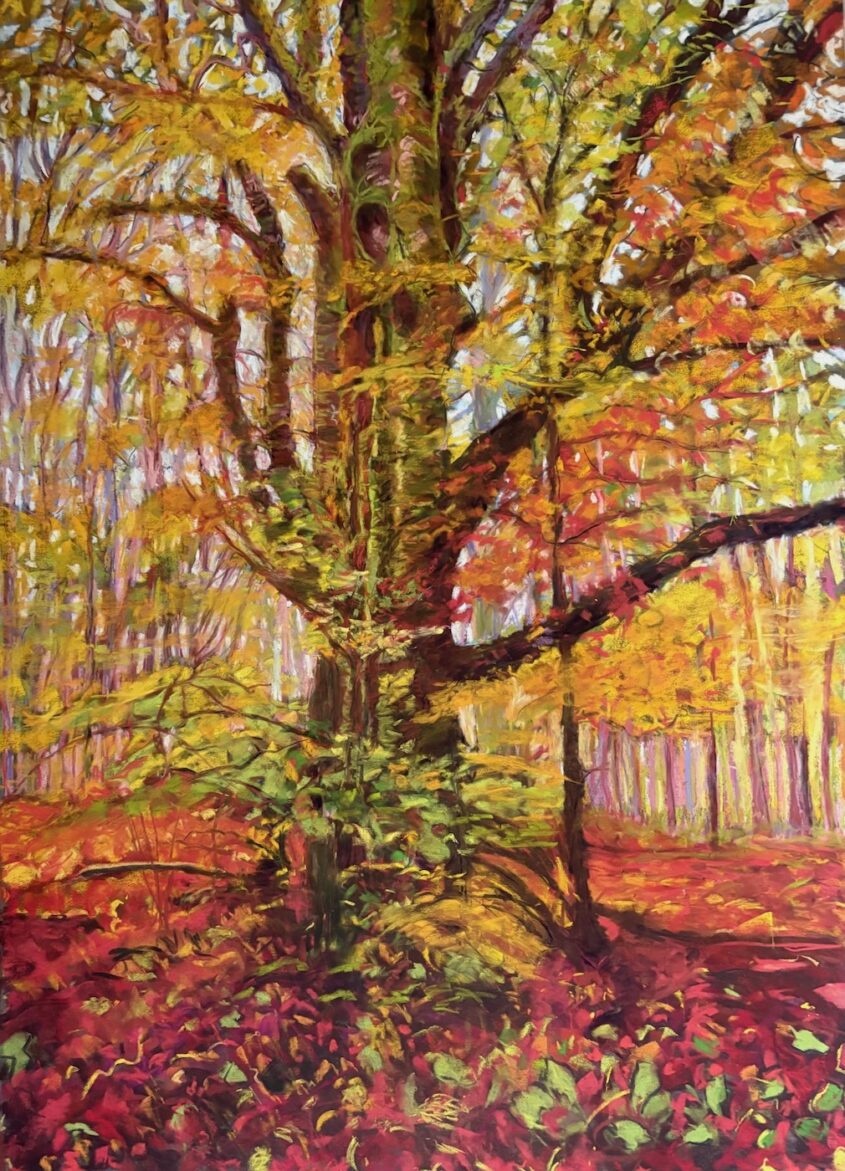 Figure in Autumn by Dawn Limbert, Pastel