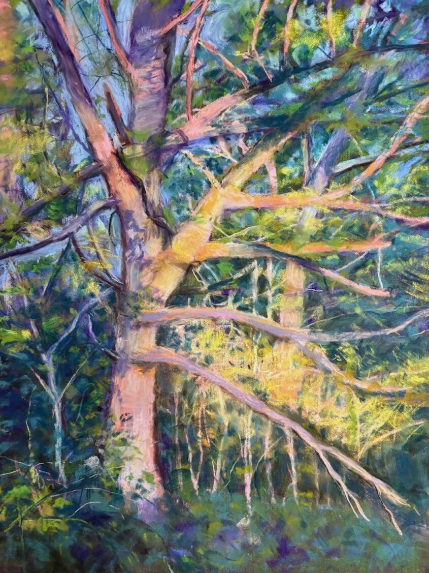 Catching the Light by Dawn Limbert, Pastel