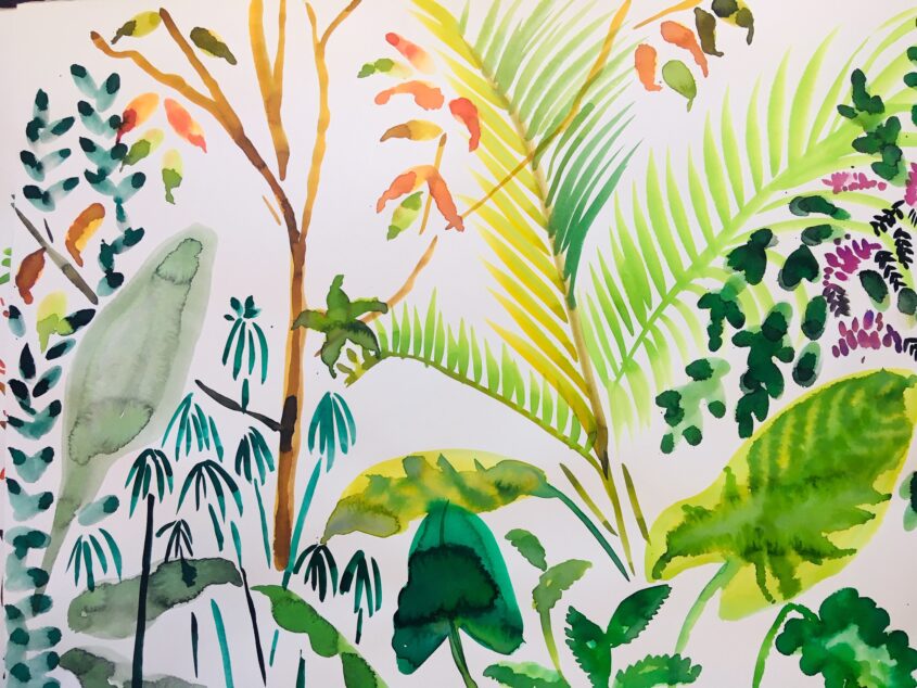 Ferns and Trees by Alice Gavin Atashkar, Watercolour on paper
