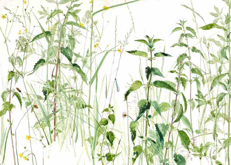 'Sitting in the Nettles' by Emma Chambers