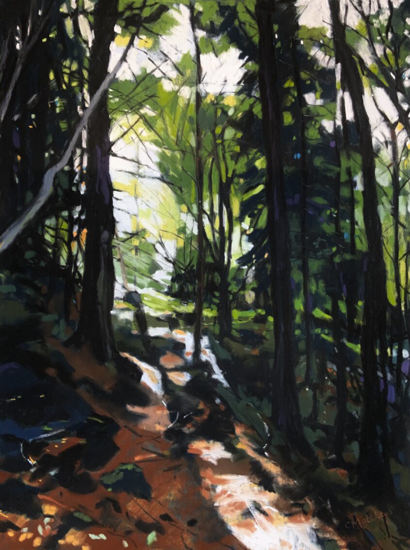 Light Through Woods to Harrop Tarn by Caroline Matthews, Pastel on paper