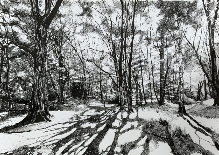 Long Shadows by Caroline Matthews, Graphite on paper