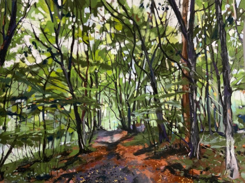 Path Through Gobions Wood by Caroline Matthews, Pastel on paper