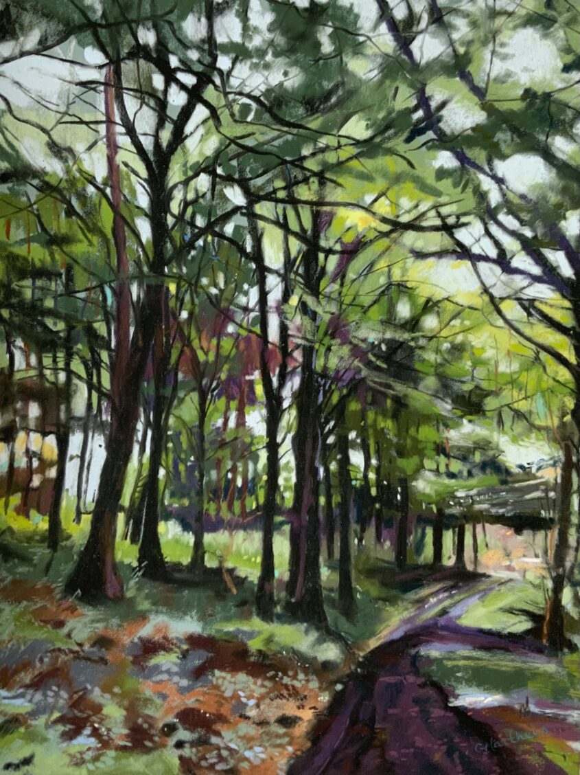 Woods at Rosemoor RHS by Caroline Matthews, Pastel on paper