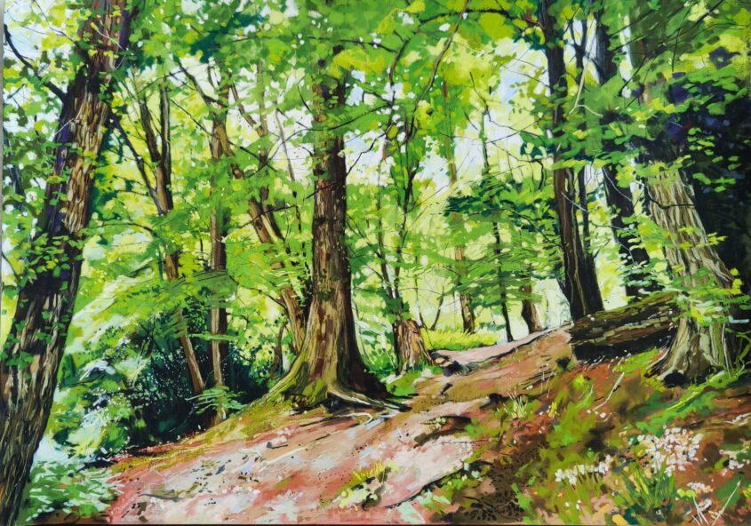 Up Hill Gobions Wood by Caroline Matthews, Pastel on paper
